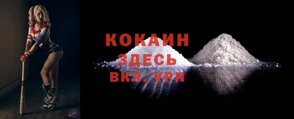ECSTASY Вяземский