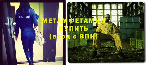 прущие грибы Пестово