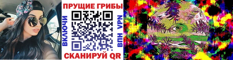 Псилоцибиновые грибы Cubensis  что такое наркотик  Заинск 