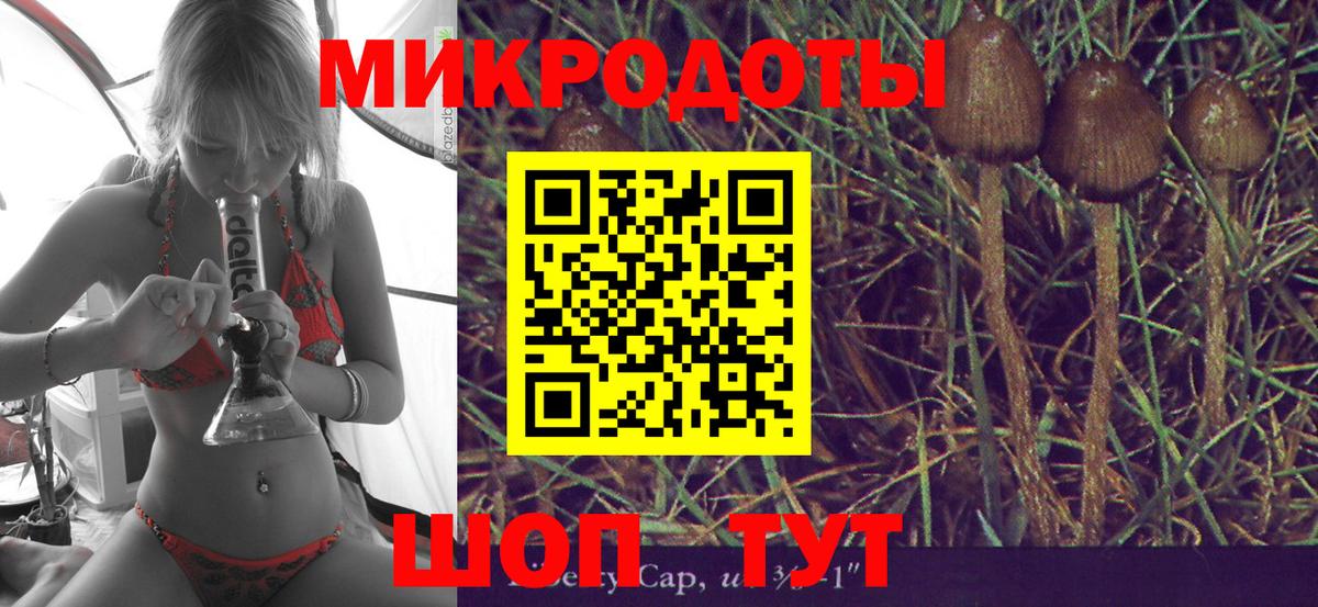 Псилоцибиновые грибы GOLDEN TEACHER Заинск