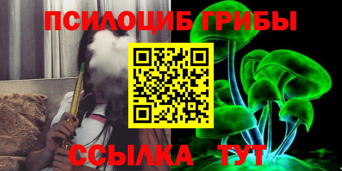 Заинск  Псилоцибиновые грибы мицелий  купить наркотики сайты  Вход с VPN  Галлюциногенные грибы мицелий 